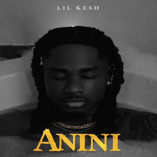 Lil Kesh Anini (Thief)